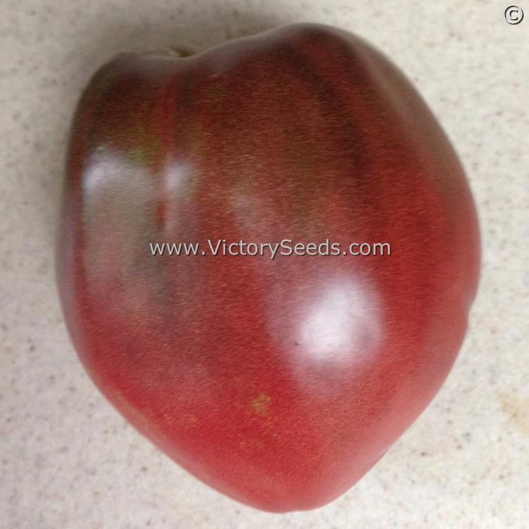 Cherokee Purple Heart Tomato - Image 6
