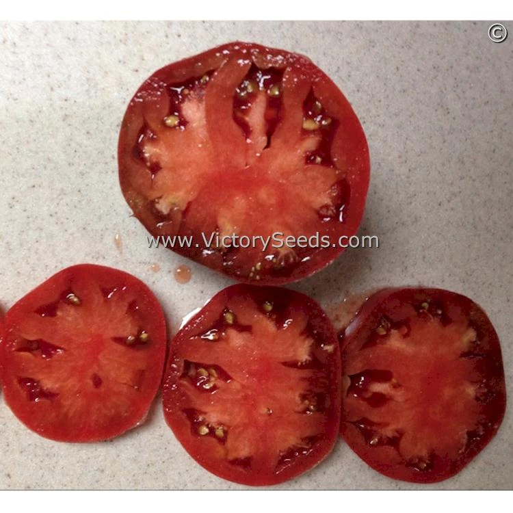 Cherokee Purple Heart Tomato - Image 7