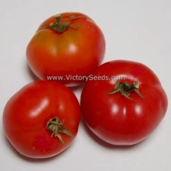 Clare Valley Pink Tomato