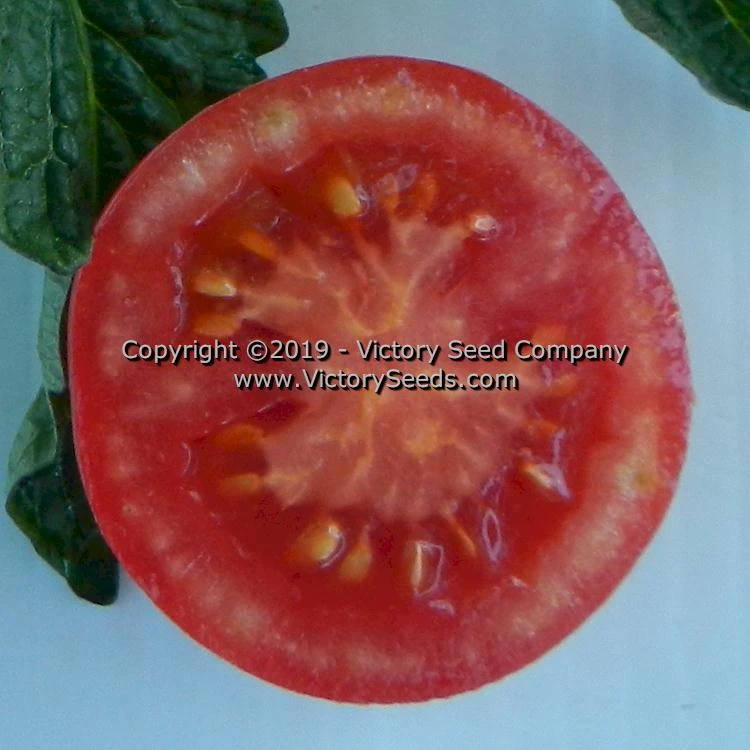Clare Valley Pink Tomato - Image 3