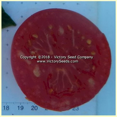 Clare Valley Red Tomato - Image 3
