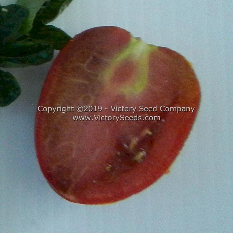 Aussie Drop Tomato - Image 2