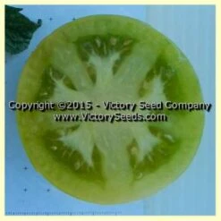 Dwarf Kelly Green Tomato