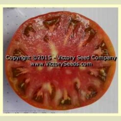 Dwarf Mahogany Tomato