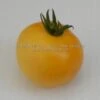 Dwarf Marong Moon Tomato
