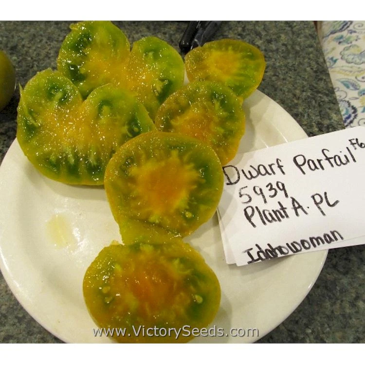 Dwarf Parfait Tomato