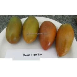 Dwarf Tiger Eye Tomato