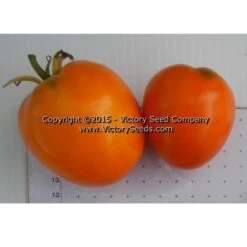 Faribo Golden Heart Tomato