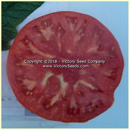 Large Lucky Red Tomato - Image 4