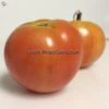 Burpee's Long Keeper (Longkeeper) Tomato