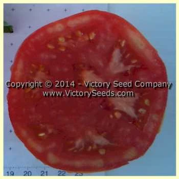 Lvinoe Serdtse Tomato - Image 4