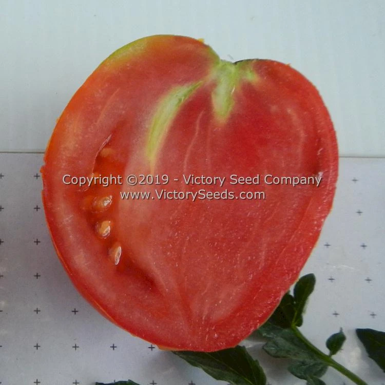 Mahoning Valley Beauty Tomato - Image 2