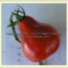 Malinovaya Grusha Tomato