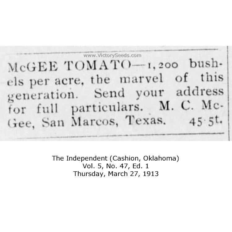 McGee Tomato - Image 4