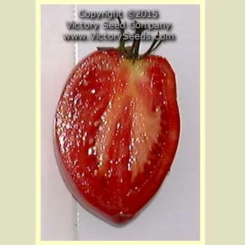 Mikarda Sweet Tomato - Image 3