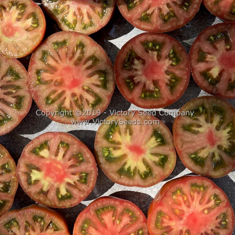 Northern Elan Tomato - Image 2