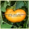 Orange Heirloom Tomato