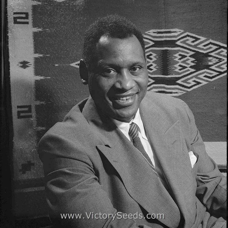 Paul Robeson Tomato - Image 2