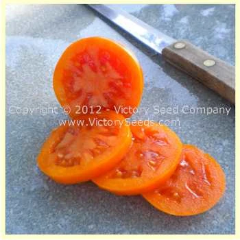 Podorok Fei Tomato - Image 2