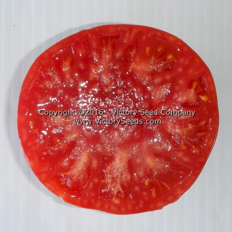 Polish Tomato - Image 3