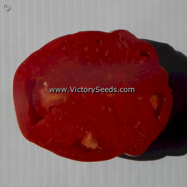 Redmon Giant Tomato - Image 2