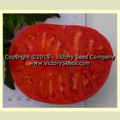 Rosella Crimson Tomato