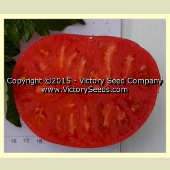 Rosella Crimson Tomato