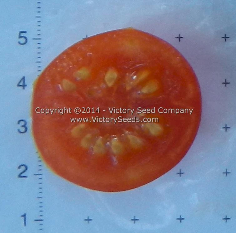 Royal Red Cherry Tomato - Image 2