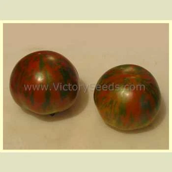 Sarandipity Tomato - Image 5