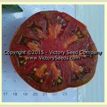 Sleeping Lady Tomato