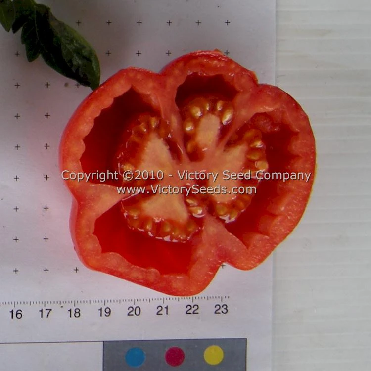 Red Stuffer Tomato - Image 2