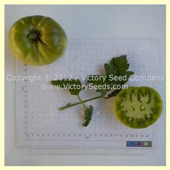 Summertime Green Tomato - Image 2