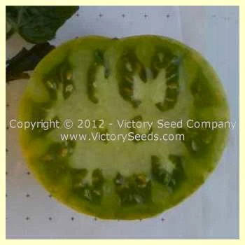 Summertime Green Tomato - Image 3