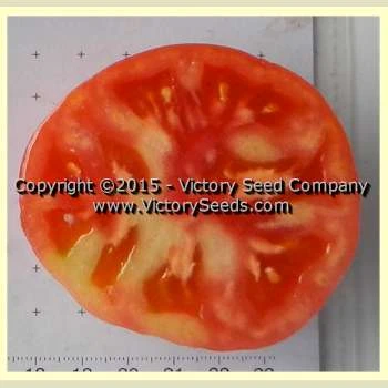 Sweet Adelaide Tomato
