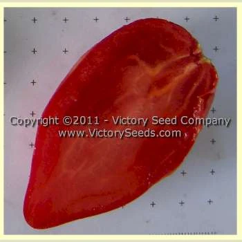 Tony's Italian Paste Tomato - Image 3