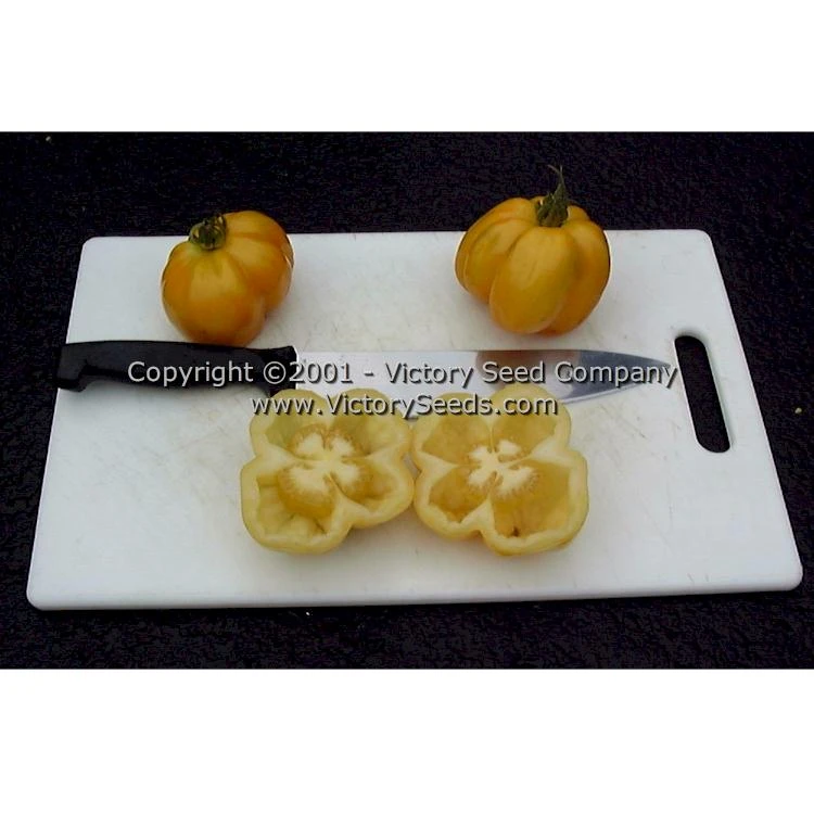 Yellow Stuffer (aka Golden Stuffer) Tomato - Image 7
