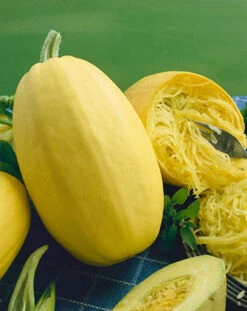 Vegetable Spaghetti Winter Squash